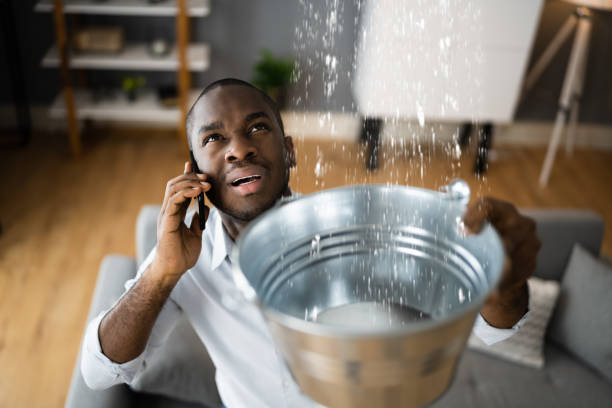 Best 24/7 water damage repair  in Sparta, MO