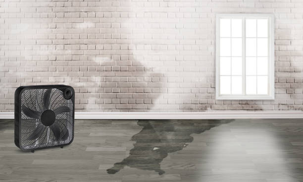 Best 24/7 water damage repair  in Sparta, MO