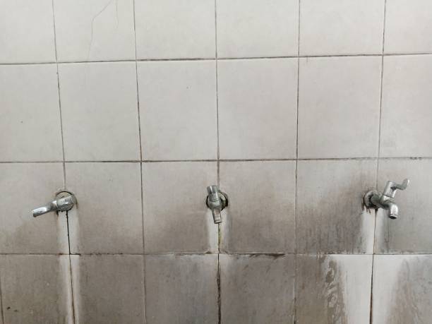 Best Mold removal after water damage  in Sparta, MO