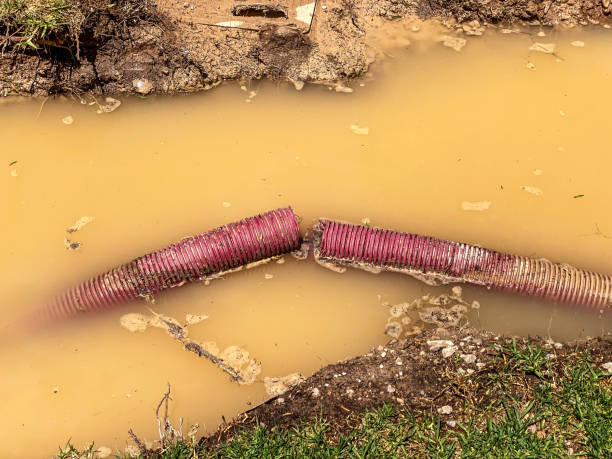 Water damage restoration process in MO